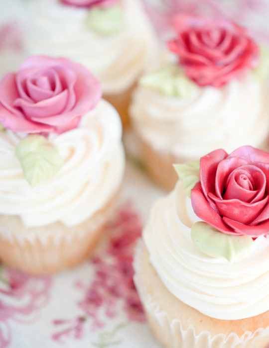 Sugar Rose